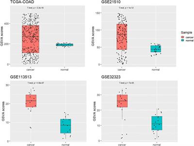 Regulation of Long Non-coding RNA KCNQ1OT1 Network in Colorectal Cancer Immunity